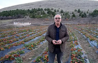 Emeklilik Hobisi Dev Bir Girişime Dönüştü: Tokat’ın...