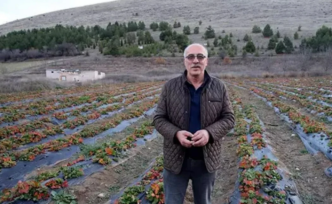 Emeklilik Hobisi Dev Bir Girişime Dönüştü: Tokat’ın Zile Çileği Yok Satıyor!